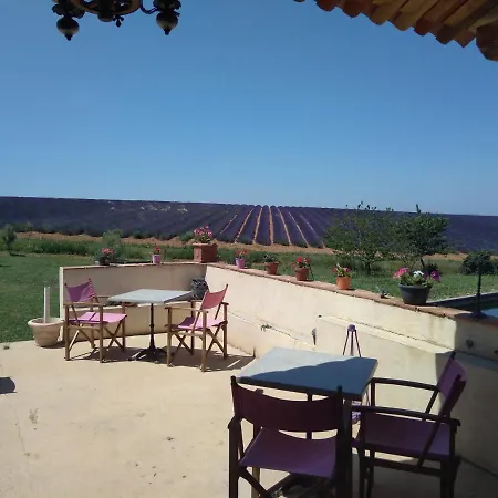 A La Ferme Au Milieu Des Lavandes Guest house *